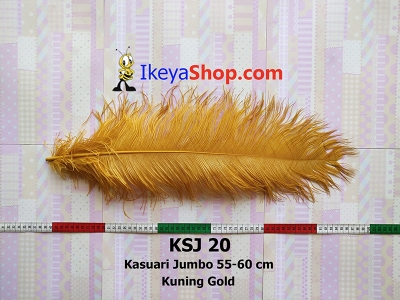 KSJ 20  large2